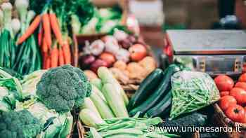 Selargius, ladri dall'ortolano: niente soldi, si accontentano di frutta e verdura - L'Unione Sarda.it - L'Unione Sarda.it