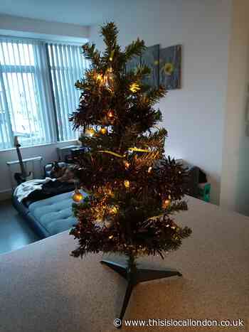 Diversity Of Christmas- Boglarka Nagy Gumley House