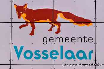 Aannemer snoeit bomen op kruispunt (Vosselaar) - Het Nieuwsblad