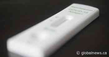 Thousands of rapid test results already reported to made-in-Sask. online database