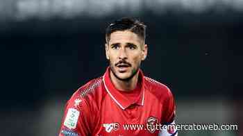 Modena, si sogna un grande colpo in attacco: Diaw, Falcinelli e Murano gli obiettivi - TUTTO mercato WEB