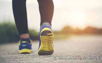 "Du Pas per Campagna", camminata il 9 gennaio - Comune di Modena