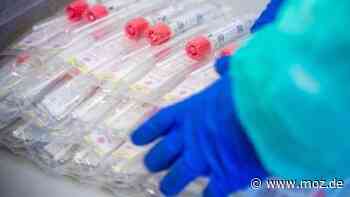 Corona in Potsdam-Mittelmark: In Bad Belzig und Werder (Havel) jeweils 31 Corona-Neuinfektionen - moz.de