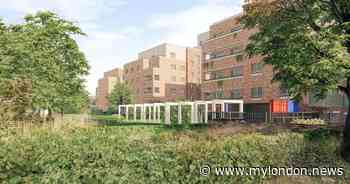 Residents fuming after Ealing approves 215 homes that could 'jeopardise' allotments - My London