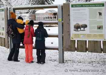 Gäste halten Tierpark die Treue - Freie Presse