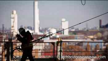 Unemployment rate in Lethbridge-Medicine Hat sees significant spike in December - Lethbridge News Now