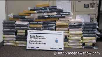 Constitutional challenge to be launched for Alberta drug smuggling case - Lethbridge News Now