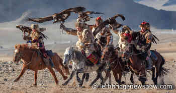 Keeping The Ancient Tradition Of Eagle Hunting Alive In Mongolia - Lethbridge News Now