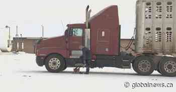 Southern Alberta businesses see higher costs with lower temperatures - Globalnews.ca