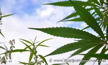 Top Kansas Democrats Unveil Plan To Put Medical And Adult-Use Marijuana Legalization On The 2022 Ballot - Marijuana Moment