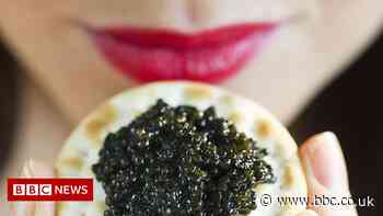 Caviar sales soar as more people get a taste for posh fish eggs