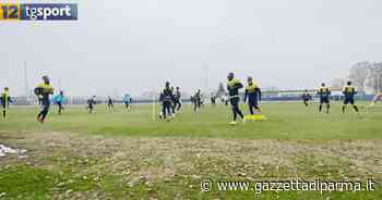 Parma, attesa l'ufficialità dei primi acquisti. Mancuso pista calda - Video - Gazzetta di Parma