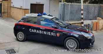 Trovato cadavere senzatetto in edificio abbandonato Trieste - Gazzetta di Parma