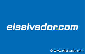 De castillos y bibliotecas | Noticias de El Salvador - elsalvador.com