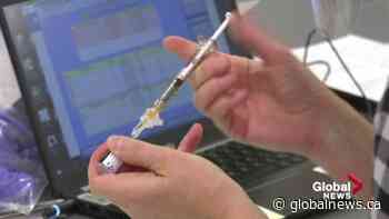 Alberta reacts to prospect of mandatory COVID-19 vaccines