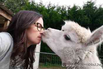 Afscheid van een huisdier: “Ze zijn een deel van ons gezin”