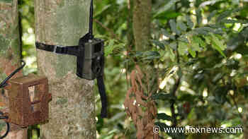 Utah bans use of trail cameras in big game hunting - Fox News