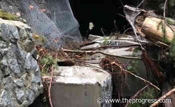 BC Parks not assessing Othello Tunnels near Hope until conditions improve – Chilliwack Progress - Chilliwack Progress