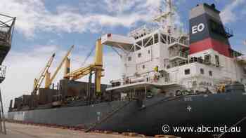 Ships use the world's heaviest fuel. This one burns vegetable oil