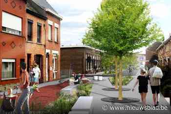 Veel bomen, een koelteplein en een ‘groene luifel’: met Koele Straten wil Mechelen zich wapenen tegen klimaatverandering