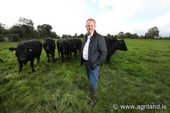 Certified Irish Angus announces 30c/kg beef bonus - Agriland.ie