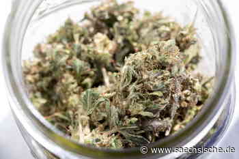 Nach "Rot"-Verstoß in Dresden Drogen sichergestellt - Sächsische.de