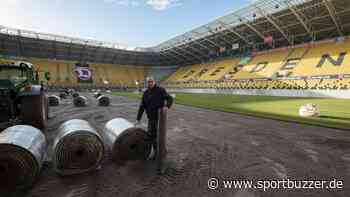 Rudolf-Harbig-Stadion bekommt neuen Rollrasen – Dynamo Dresden testet zwei Mal - Sportbuzzer