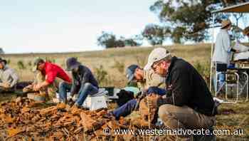 NSW farmer uncovers 'exceptional' fossils - Western Advocate