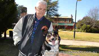 Ron Webb thanks strangers who helped after his fall - Western Advocate