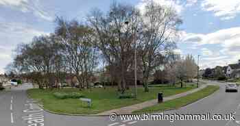 Eyesore phone mast that will 'affect house prices' in Sutton Coldfield as 230 protest - Birmingham Live