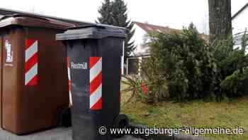 Wohin mit dem Christbaum im Kreis Augsburg? Das sind die Abholtermine - Augsburger Allgemeine