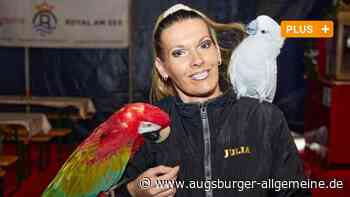 Mehr als "Hallo" krächzen: Was die Zirkus-Papageien alles können - Augsburger Allgemeine