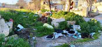 Trani, discarica a cielo aperto in via Torrente antico. Lo sfogo di un proprietario: «Paghiamo tasse per controlli inesistenti» - ilgiornaleditrani - Radio Bombo