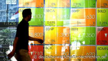 Analysten erwarten schwieriges Jahr für Schwellenländer