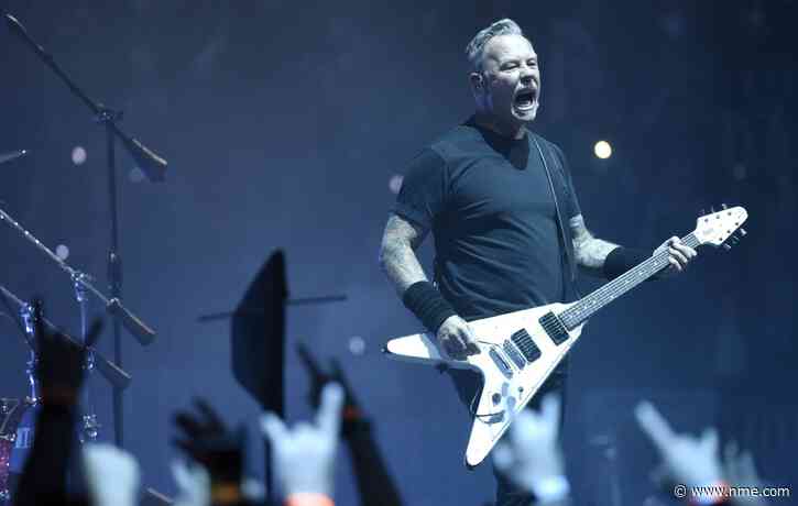 Specially trained dogs used by Metallica, Tool and others to detect COVID during tours