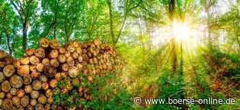 Nachhaltigkeit ist Trumpf: Ausblick der Zertifikate-Anbieter auf das nächste Jahr