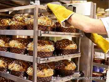 Italo Vezzoli, i Cerea e i Gotti: da Scanzo a Carobbio il distretto del panettone - Corriere Bergamo - Corriere della Sera
