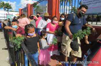 Visitan a los Tres Santos Reyes más devotos en su día - El Diario de Yucatán