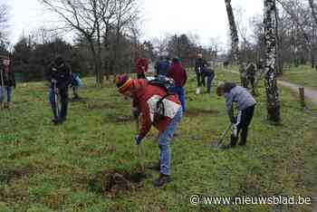 Buurtbewoners en andere vrijwilligers planten 880 nieuwe bomen en struiken in park De Kiosk