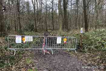 Onveilig vlonderpad in het park wordt vervangen (Brasschaat) - Gazet van Antwerpen