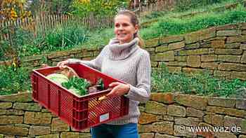 Mit Wilma und Willi startet neuer Bio-Lieferdienst in Essen - WAZ News