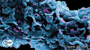 Coronavirus: Health experts not alarmed by variant identified in France | DW | 07.01.2022 - DW (English)