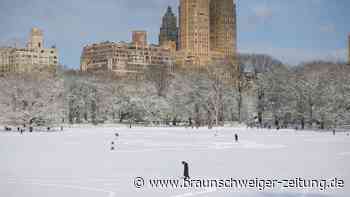 New Yorker genießen Corona-Auszeit im verschneiten Central Park