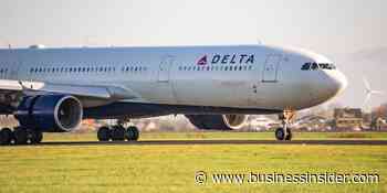 Passenger slams Delta response after dog food was left in her luggage - Business Insider