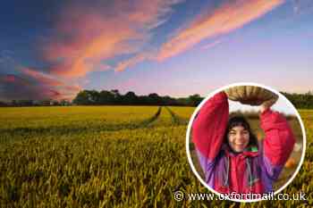 Oxford farm conference told UK's food system is "broken" - Oxford Mail