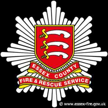 PICTURES: Firefighters release puppy from food tin - Broadmayne, Basildon - Essex County Fire & Rescue Service