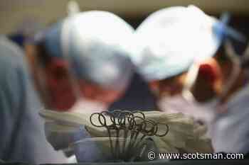 Social media food influencers are about as trustworthy as amateur brain surgeons – Stephen Jardine - The Scotsman