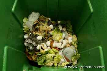 Food waste can be dramatically reduced by technology that could also save time and money and help us eat healthier meals – Professor Stephen Salter - The Scotsman
