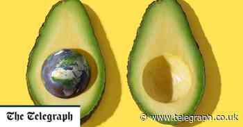The disturbing truth about avocados – and other food swaps you need to make now - Telegraph.co.uk