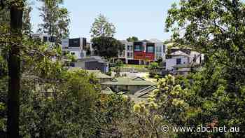 'Buyers are prepared to pay a premium': Popular schools driving up already soaring Brisbane house prices